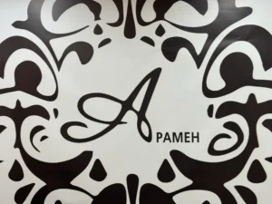 لوگو آموزشگاه آپامه